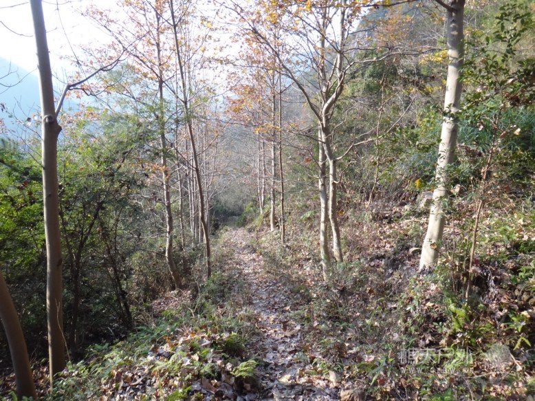 DSC08629.jpg
