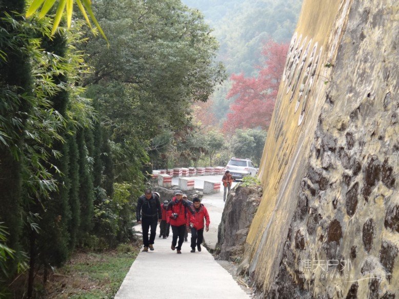 DSC08654.jpg