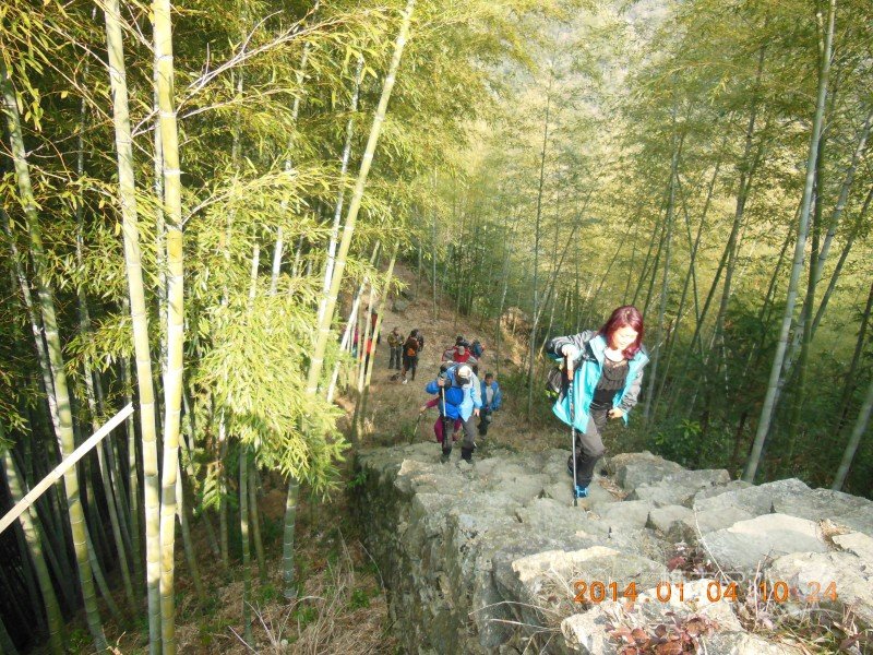 DSCN3380.jpg
