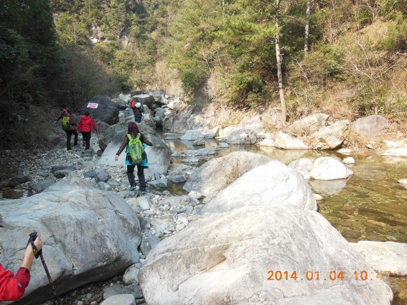 DSCN3390.jpg