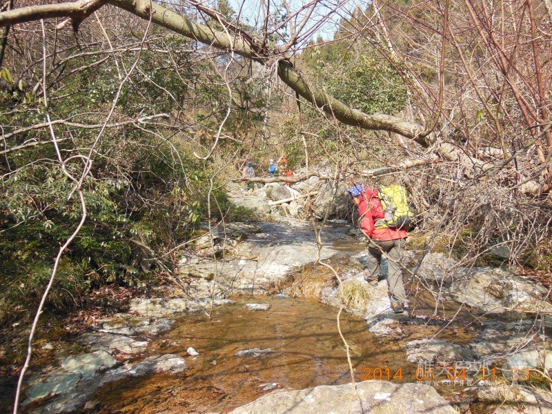 DSCN3411.jpg