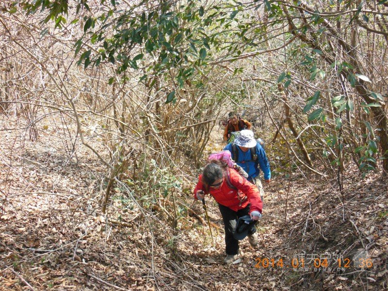 DSCN3420.jpg