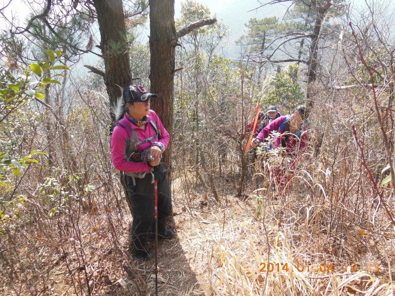 DSCN3423.jpg