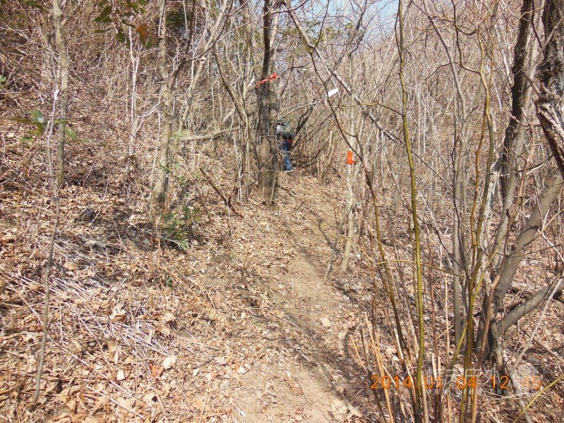 DSCN3425.jpg