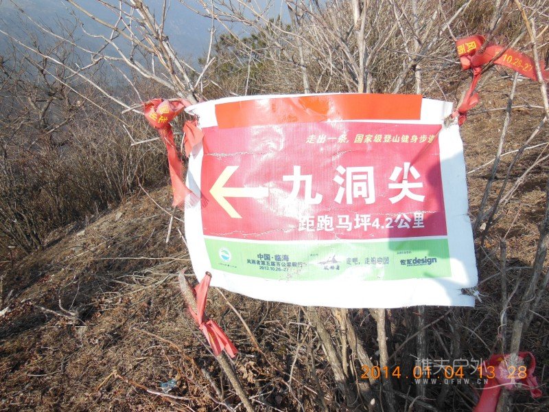 DSCN3442.jpg