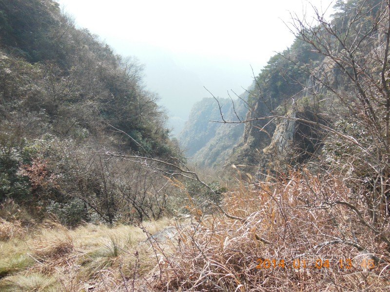 DSCN3448.jpg