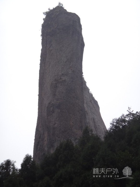 DSC02030.jpg