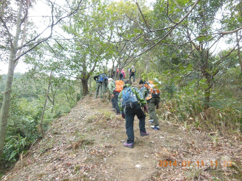 DSCN3605.jpg
