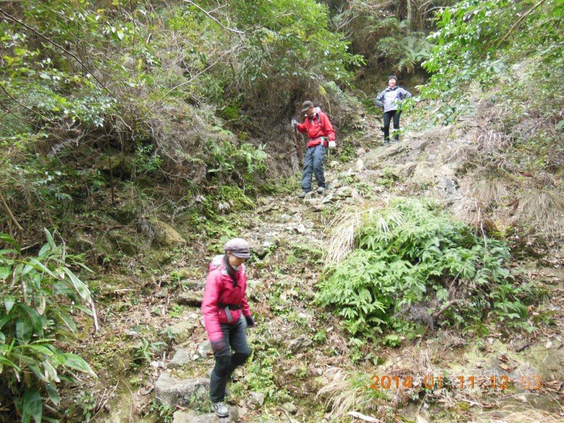 DSCN3643.jpg