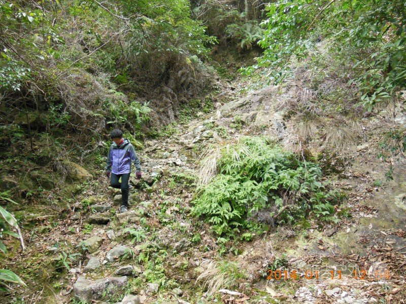 DSCN3644.jpg