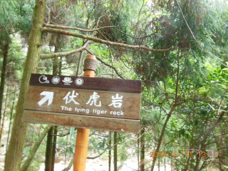 DSCN3652.jpg
