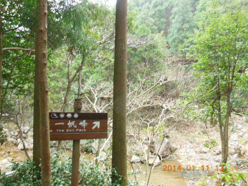 DSCN3677.jpg