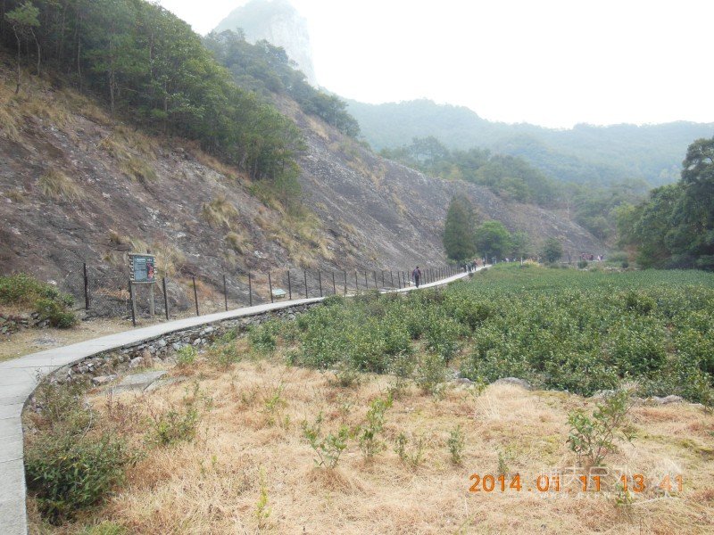 DSCN3685.jpg