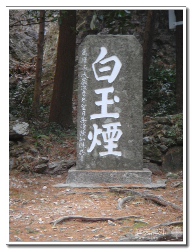 DSC02163.jpg