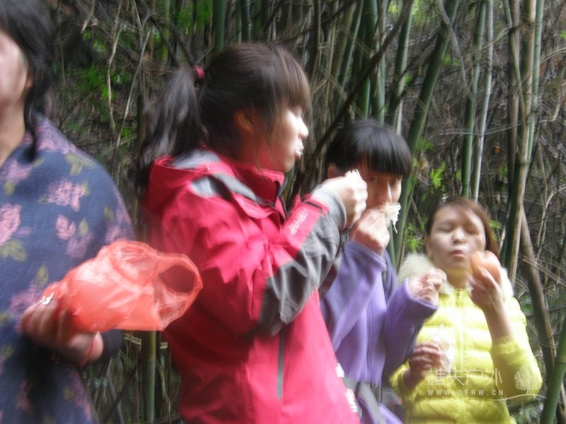 064.jpg