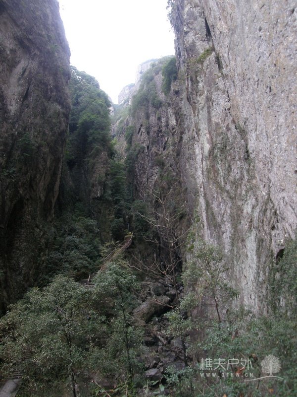 123.jpg
