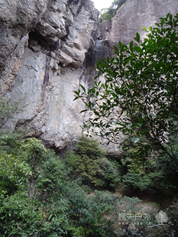DSC02174.jpg