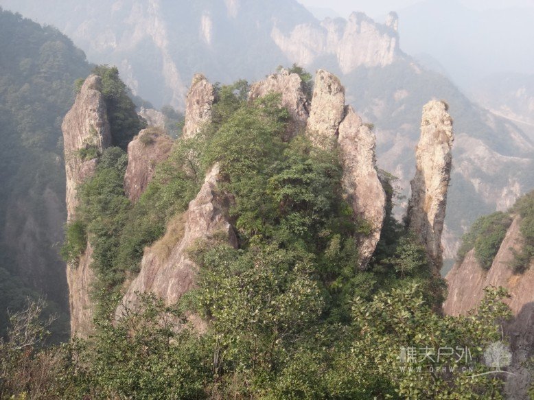 DSC02273-5.jpg