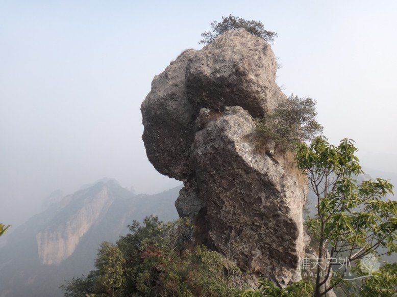 DSC02339-1.jpg