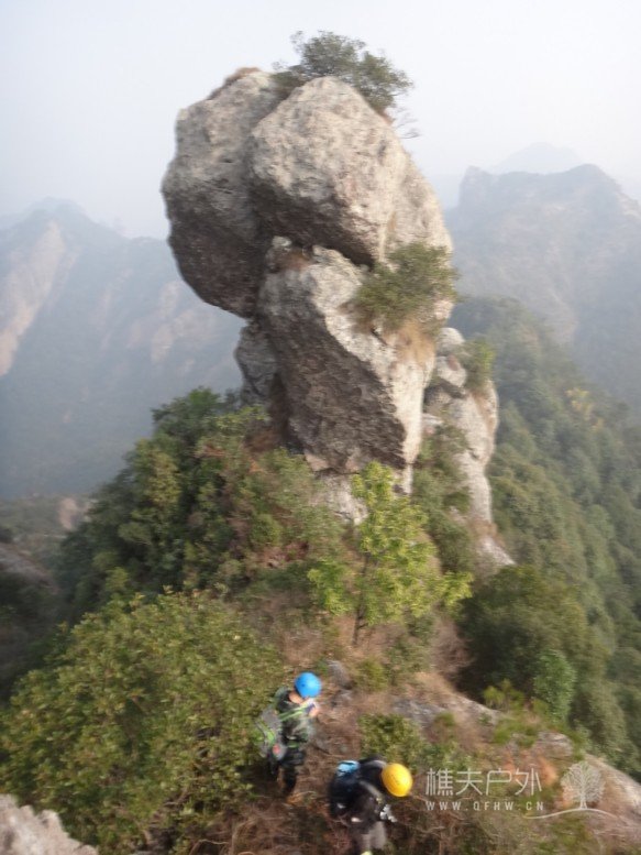DSC02339-2.jpg