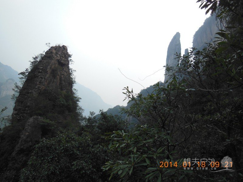 DSCN3737.jpg