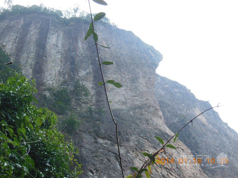 DSCN3774.jpg