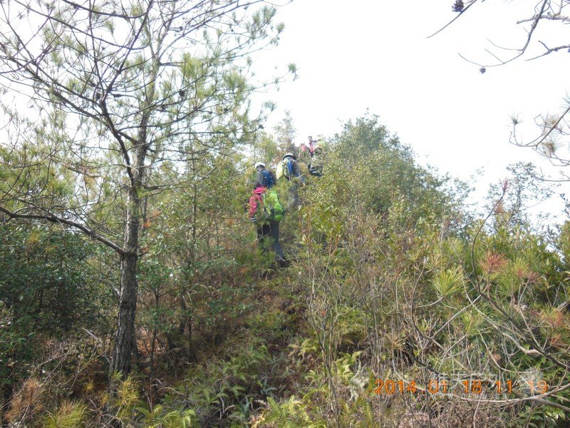 DSCN3808.jpg