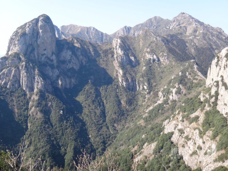 DSC02426.jpg
