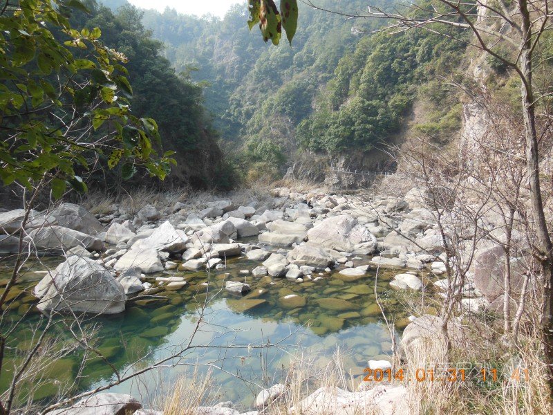 DSCN4111.jpg