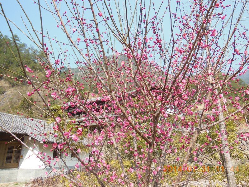 DSCN4113.jpg