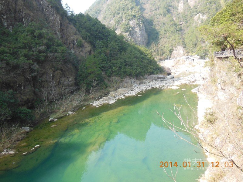 DSCN4130.jpg