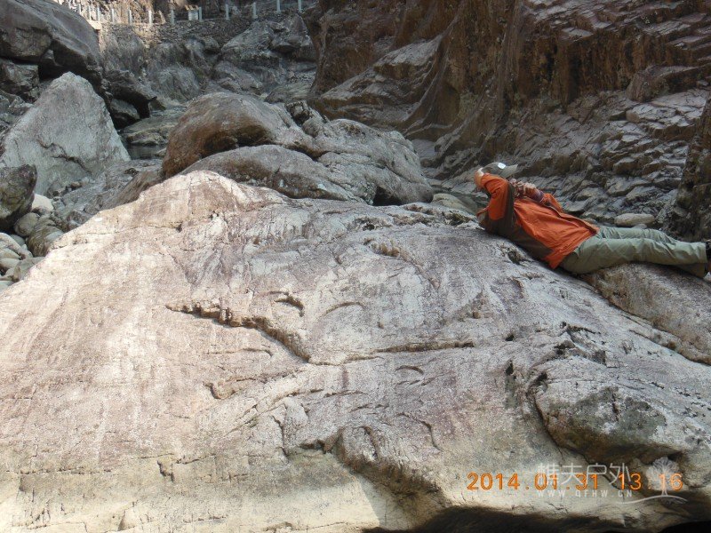 DSCN4140.jpg