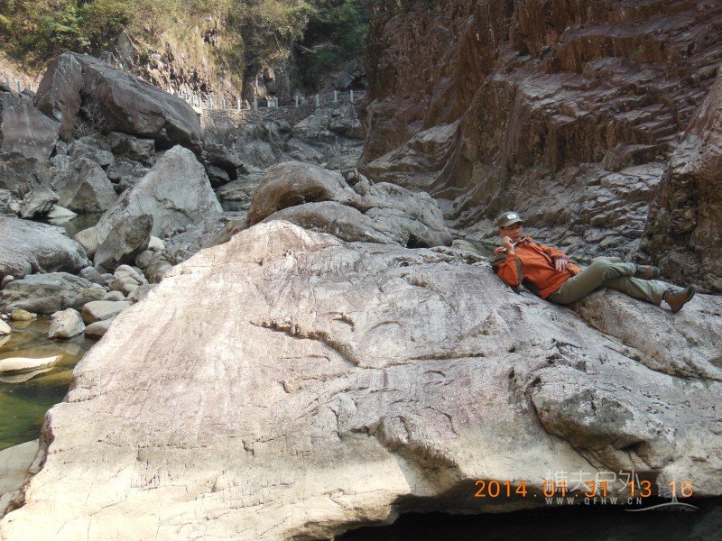 DSCN4141.jpg