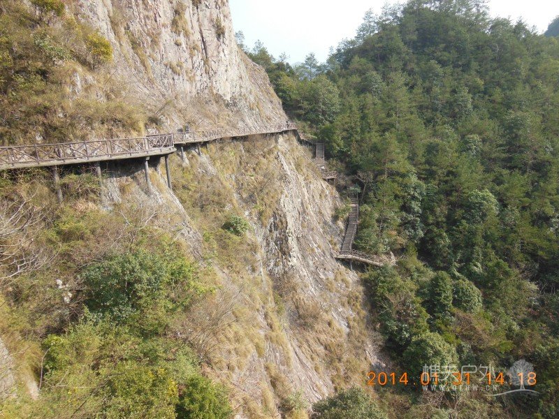DSCN4178.jpg