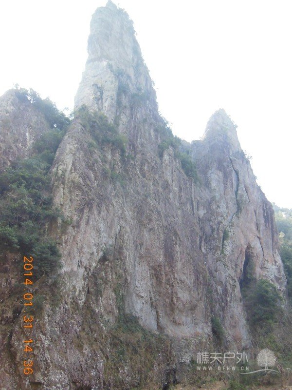 DSCN4202.jpg