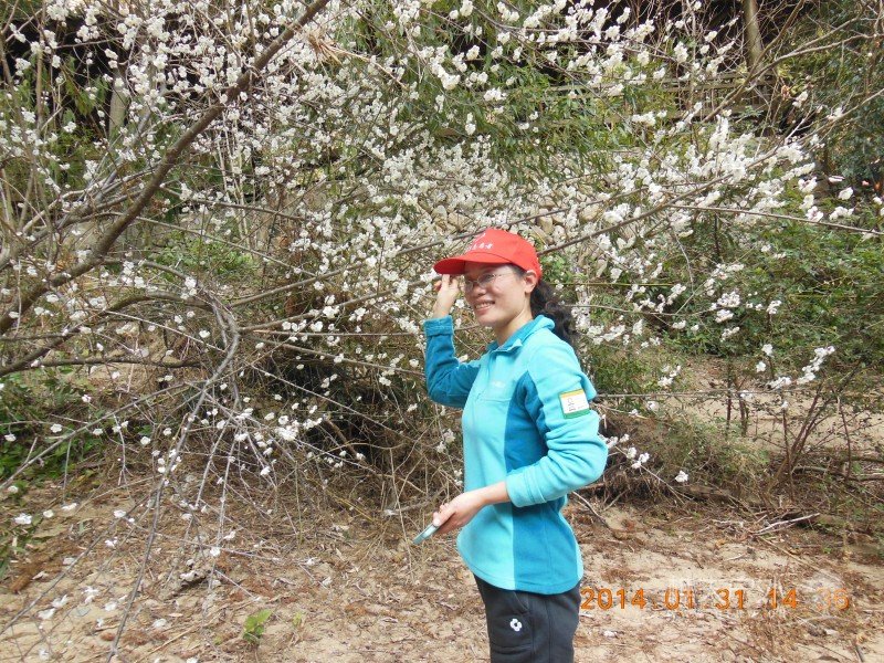 DSCN4204.jpg