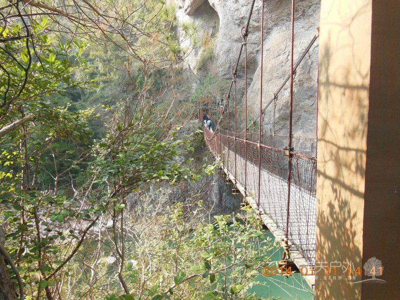DSCN4209.jpg
