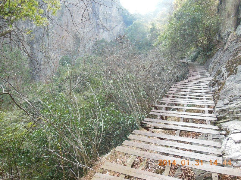 DSCN4218.jpg