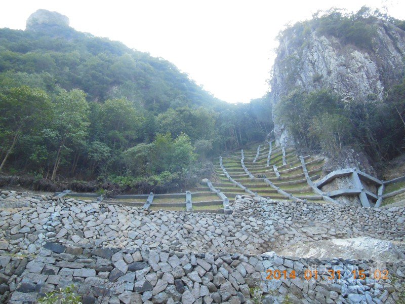 DSCN4234.jpg