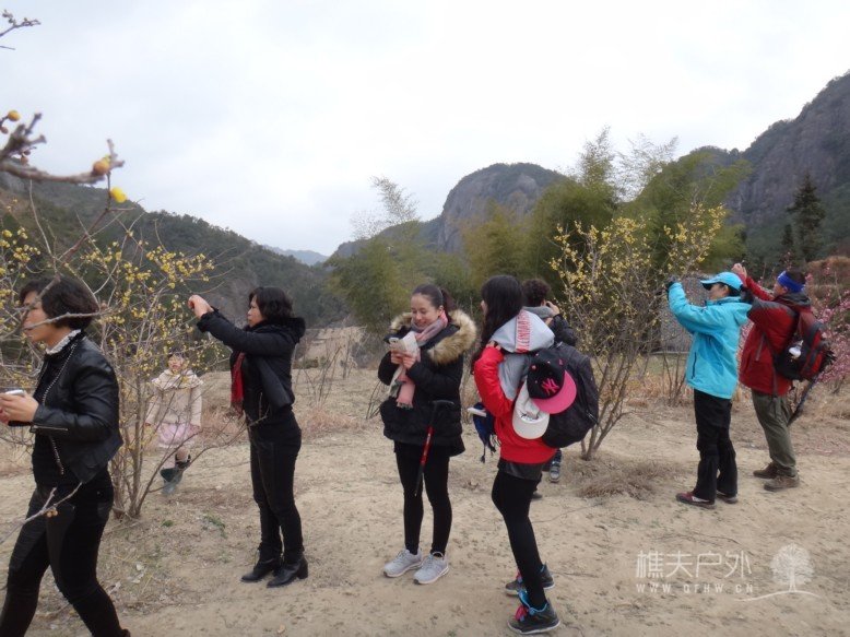 DSC02880.jpg