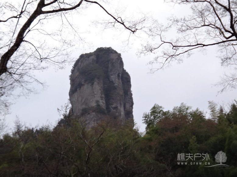 DSC02960.jpg