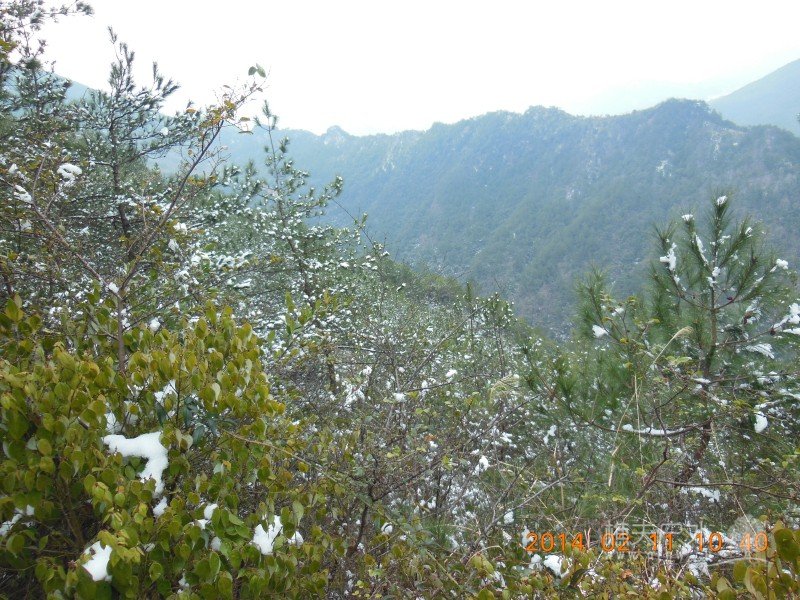 DSCN4289.jpg