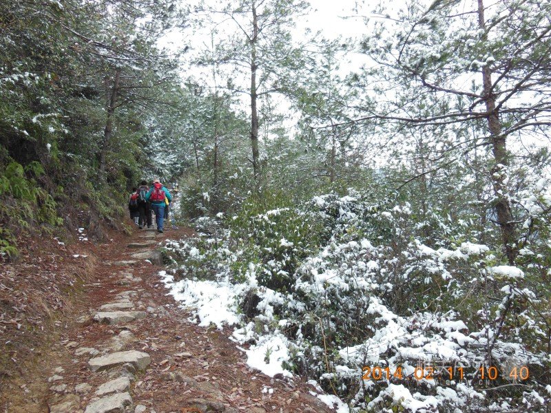 DSCN4290.jpg