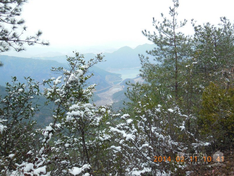 DSCN4291.jpg