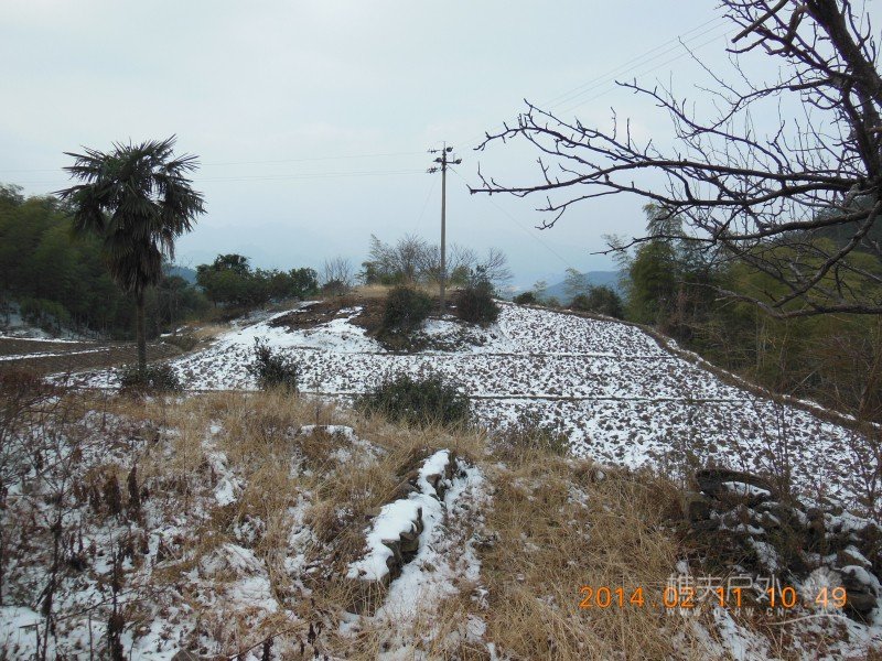 DSCN4295.jpg