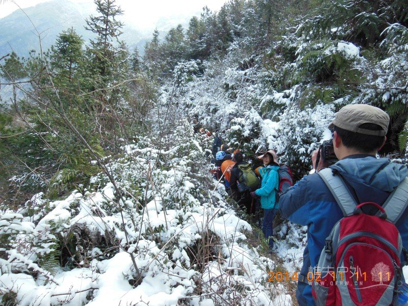 DSCN4317.jpg