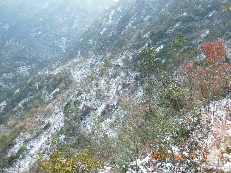 DSCN4324.jpg