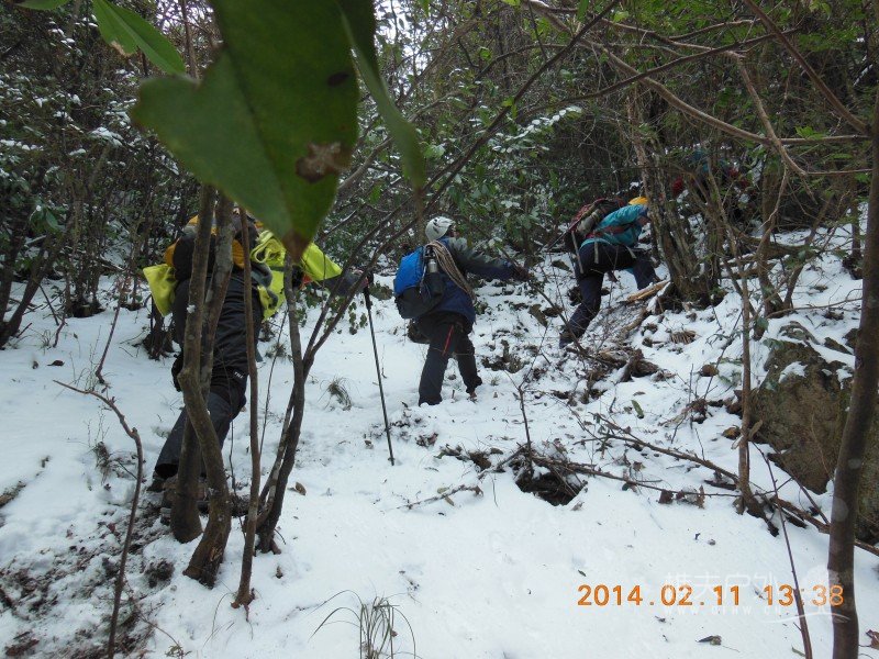 DSCN4374.jpg