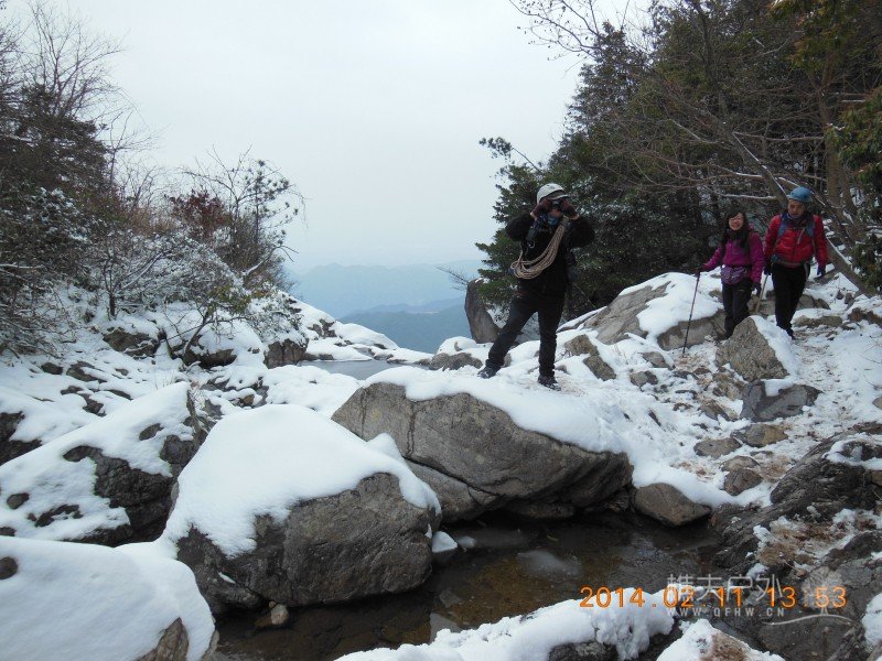 DSCN4377.jpg