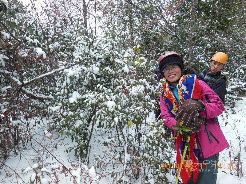 DSCN4398.jpg